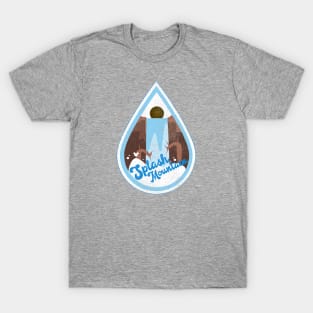 Splash Mountain (distressed) T-Shirt